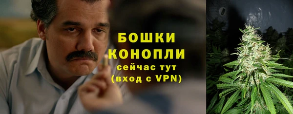 прущая мука Каменка