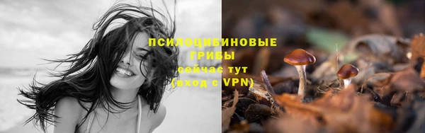 прущая мука Каменск-Шахтинский