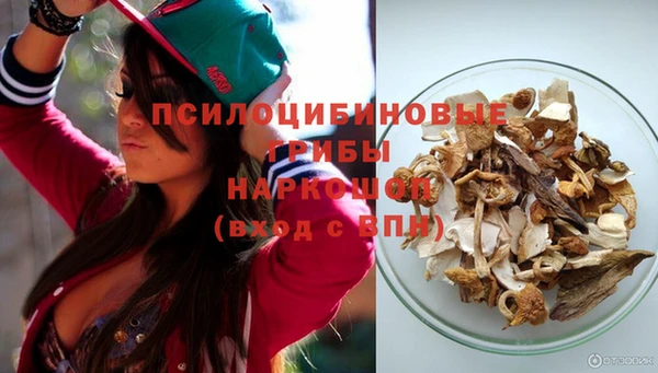 mdma Каменногорск