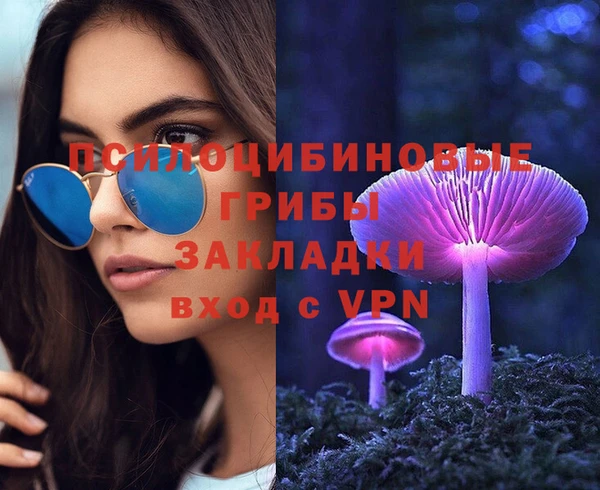 прущая мука Каменка